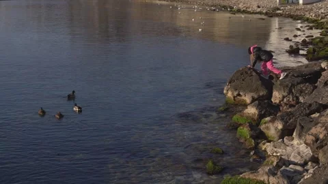 A child climbing on the rocks of the coast Stock Footage 307384979