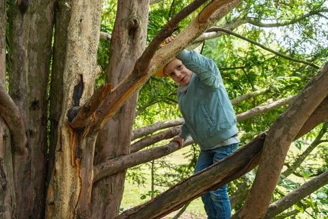 Child Climbing Tree with Enthusiastic Expression Fotos Stock