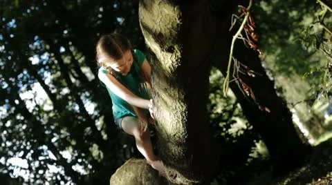 Child climbing a tree Video stock 22636848
