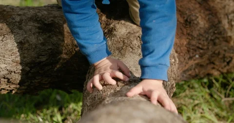 A child climbs a tree 스톡 동영상 128805705