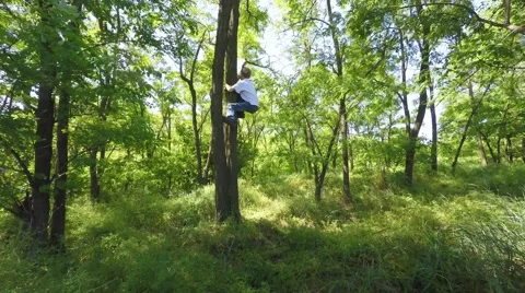 Child climbs a tree in the woods Stockbeeldmateriaal 51400604