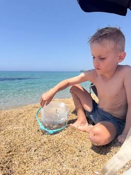 Child Collecting Shells on the Beach Foto stock