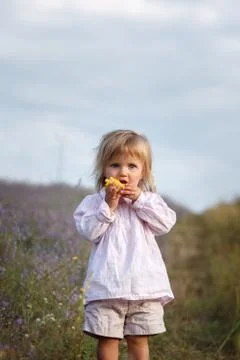 Child, corn Stock Photos