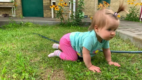 Child, crawling on the grass, 4K Stock Footage 158299790