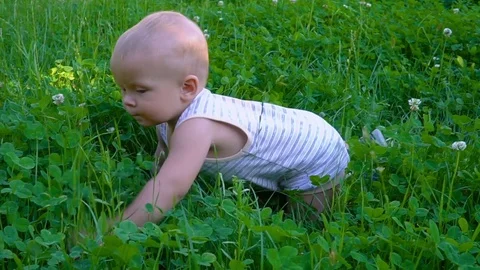 The child crawls on the grass Видео 79933867