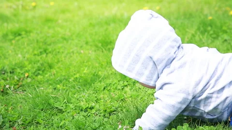 A child crawls on the grass Stock Footage 131336645
