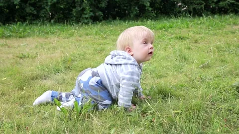 A child crawls on the grass Stock Footage 133237007
