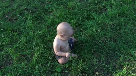 The child creeps on a green grass Stock Footage 65807601