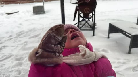 The child cries and asks to go home from the street, knocks on the window with Video stock 264505004