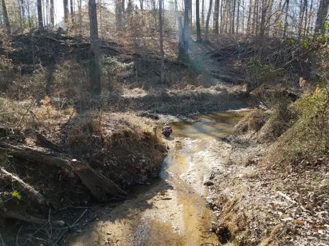 Child crouching down in stream or creek in forest Stock Photos