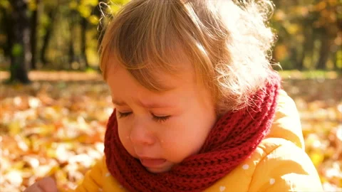 The child is crying in the autumn park. Selective focus. Stock Footage 219478747
