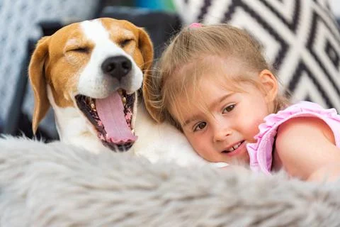Child cuddle a dog on backyard sofa. Stock Photos