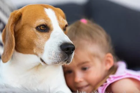 Child cuddle a dog on backyard sofa. Stock Photos