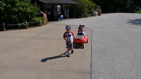 Child with a cup is pulling red wagon with younger brother walking in the park Stock Footage 114535679