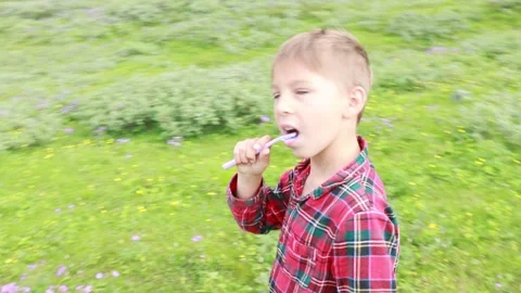 Child, cute boy, brushing his teeth in front of a tent in the morning in a .. Stock Footage 343642107