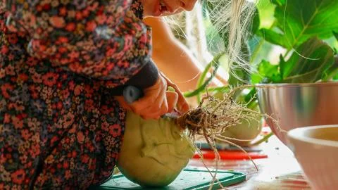 Child cutting vegetable Stock Photos