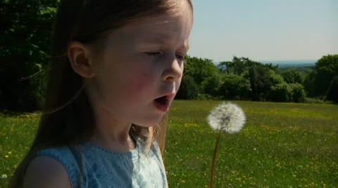 Child with dandelion Stock Footage 22636995