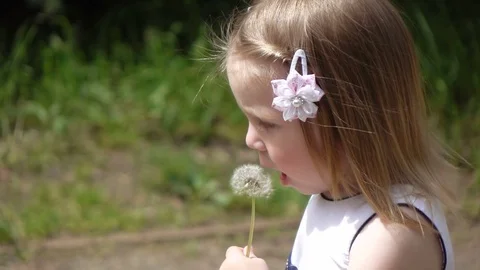 Child with dandelion Vídeos de archivo 78498452