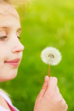 Child with dandelion Stock Photos