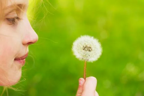 Child with dandelion Foto stock