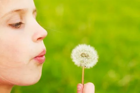 Child with dandelion Stock Photos