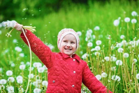 Child with dandelions Stock Photos