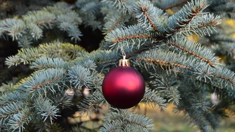 The child decorates the tree with New Year's toys Stock Footage 143201425