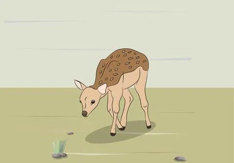 Child deer lying, vector Illustrazione stock