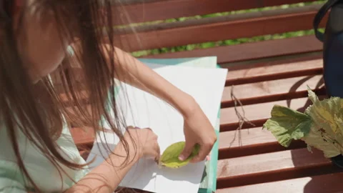 Child designs collage using paper leaves on sunny day. Young girl and mother Stock Footage 345144121