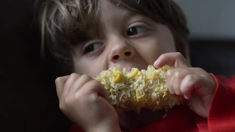 Child Devouring Cooked Corn With Hands Sitting On Sofa Wearing Red Sweater Stock Footage 277224486