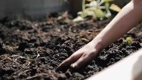 Child digging in soil in slow motion on a sunny afternoon 库存影片 92509467