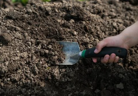 Child digs the ground Stock Photos