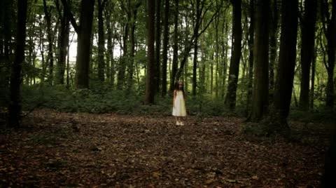 Child disappears Stock Footage 22637016