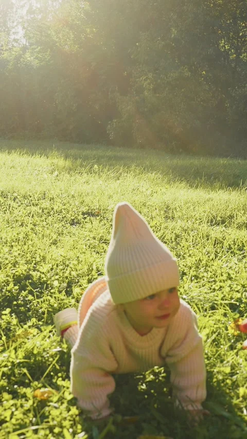 Child discovers nature while playing in sunny green field during autumn Stock Footage 308936520