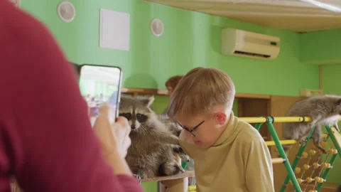 Child documents amusing educational experience with raccoon in classroom, Young Stock Footage 327804949