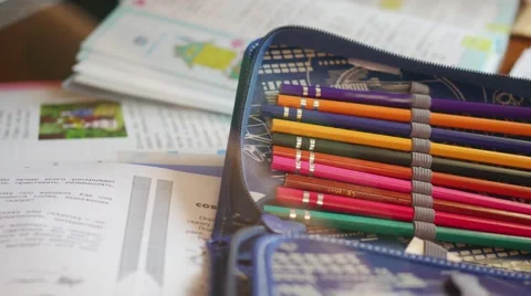 The child does the lessons at home 動画素材 67540392