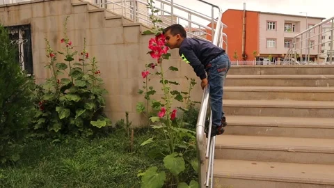 The child does not pick flowers, but only smells and hugs them. Video stock 157333648