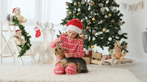 Child with dog in Christmas time Stock Video Pond5