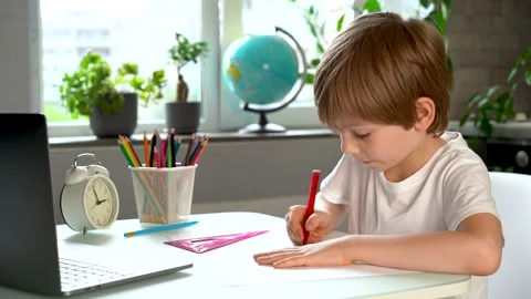 A child doing school lessons at home Stock Footage 166708630
