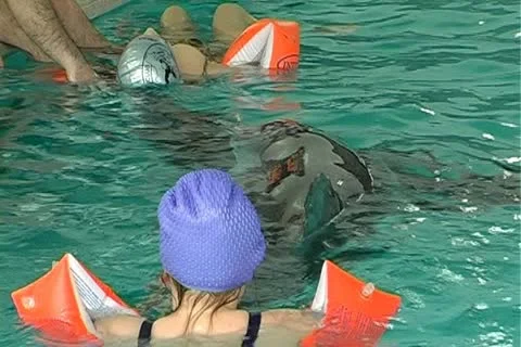 Child with dolphin Stock-Footage 10919209