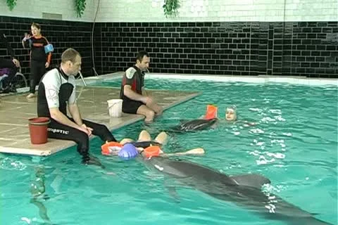 Child with dolphin Stock Footage 10919213