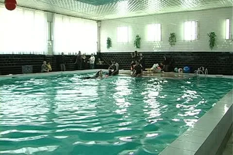 Child with dolphin Stock Footage 10919214