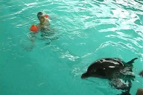 Child with dolphin Stock Footage 10919216