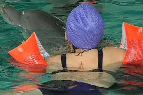 Child with dolphin Stock Footage 10919222