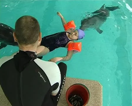 Child with dolphin Stock Footage 10919227