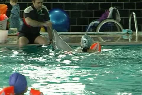 Child with dolphin Stock-Footage 10919233