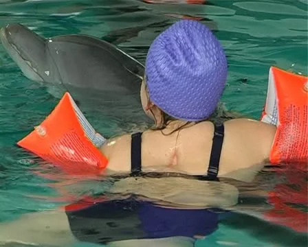 Child with dolphin Stock Footage 10919237