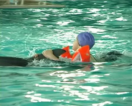 Child with dolphin Stock Footage 10919243