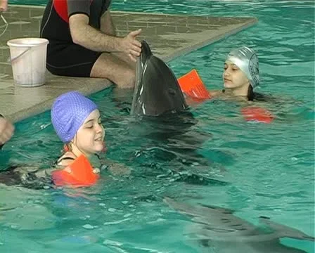 Child with dolphin Stock Footage 10919246