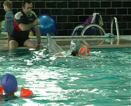 Child with dolphin Stock Footage 10919249